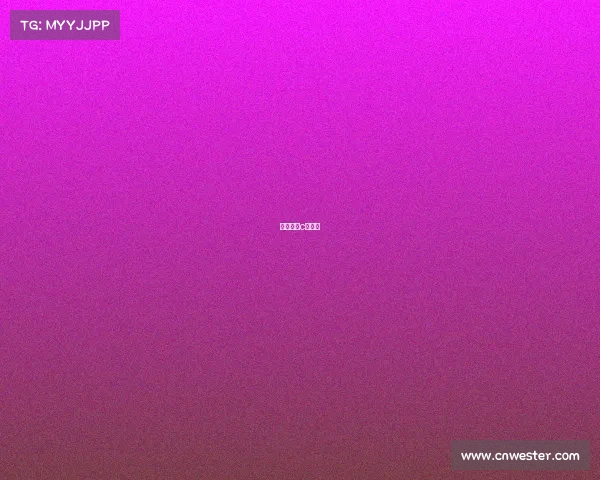 自由搏击c级赛事